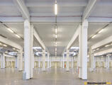 Warehouses to let in Goodman Poznań III Logistics Centre