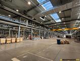 Warehouses to let in ABB production and storage facility || Aleksandrow Lodzki