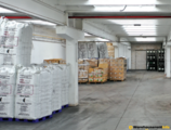 Warehouses to let in Wizard Gniezno