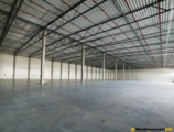 Warehouses to let in Witek Logistic Morawica