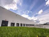 Warehouses to let in CTPark Sulechów: