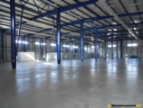 Warehouses to let in Altmaster Piaseczno II