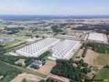 Warehouses to let in CTPark Warsaw Emilianow