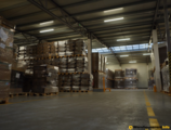 Warehouses to let in NGH Warehouse Mlawa