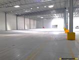 Warehouses to let in Assel - hala magazynowa Pruszcz Gdański