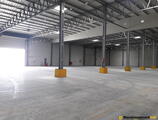 Warehouses to let in Assel - hala magazynowa Pruszcz Gdański