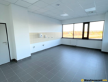 Warehouses to let in magazyn do wynajęcia