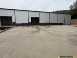 Warehouses to let in Warehouse Trąbki