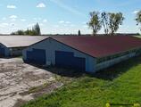 Warehouses to let in Amrum Ostaszewo warehouse