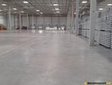 Warehouses to let in Amrum Niepruszewo warehouse