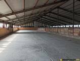 Warehouses to let in Amrum Ostaszewo warehouse