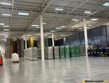 Warehouses to let in Warehouse Jasionka