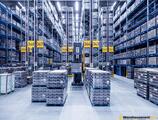 Warehouses to let in Poznan Logistisc Warehouse
