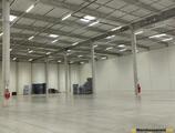 Warehouses to let in Ledziny warehosue