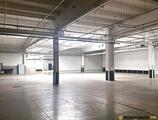 Warehouses to let in Warehouse-production space in Wyszków
