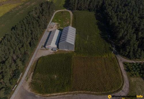 Warehouses to let in Hale Namiotowe Nasierowo