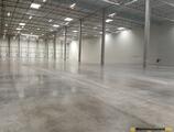 Warehouses to let in Ledziny Warehouse