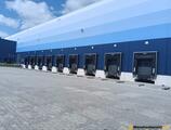 Warehouses to let in Ledziny Warehouse
