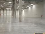 Warehouses to let in Ledziny Warehouse
